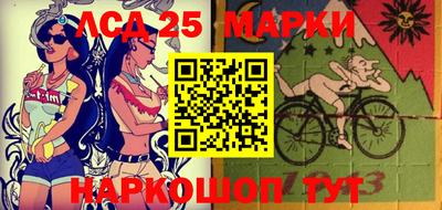 крисы Аргун
