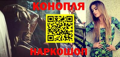 крисы Аргун