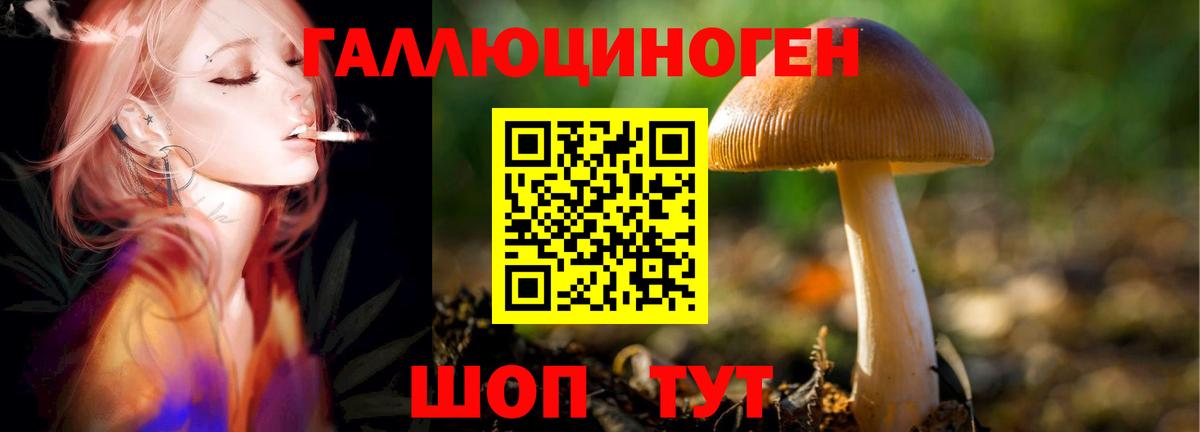 Псилоцибиновые грибы Psilocybine cubensis  Вход с VPN  Бугуруслан  Галлюциногенные грибы мицелий 
